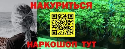 стаф Лениногорск