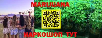 стаф Лениногорск