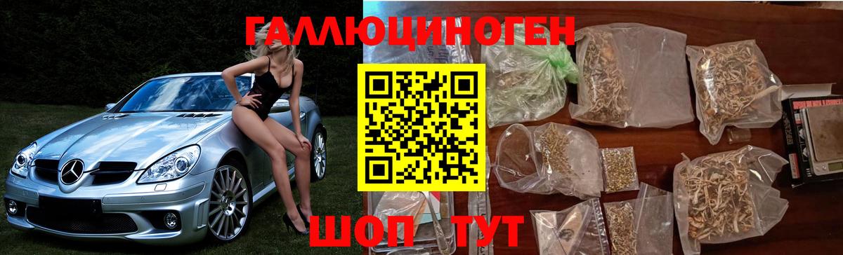 Ивантеевка  Галлюциногенные грибы Psilocybine cubensis  Вход с VPN 