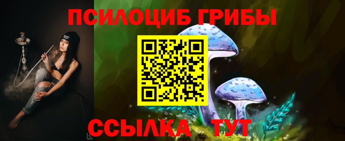 Псилоцибиновые грибы Psilocybe Ивантеевка